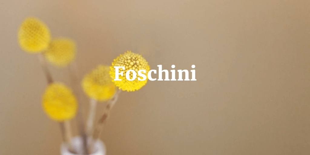 Shop Foschini Clothing Online In South Africa