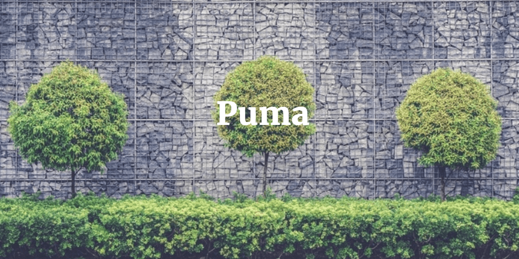 puma factory shop cape town