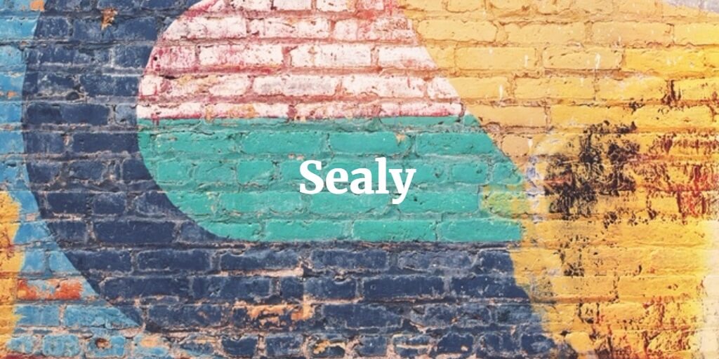 Sealy factory deals shop