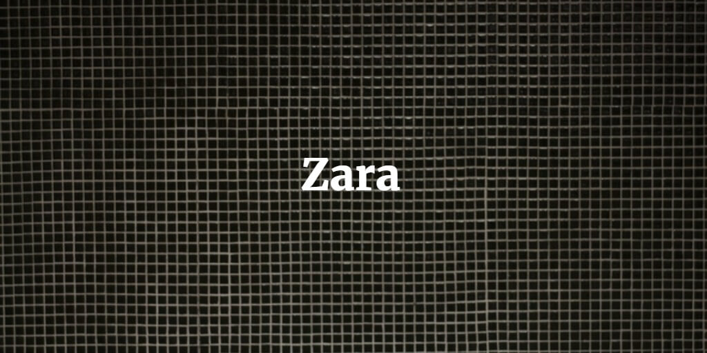 zara reject clothing